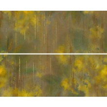 NAXOS CHROMATICA dekor 80x100(40x100)cm, mat, kompozice mimosa